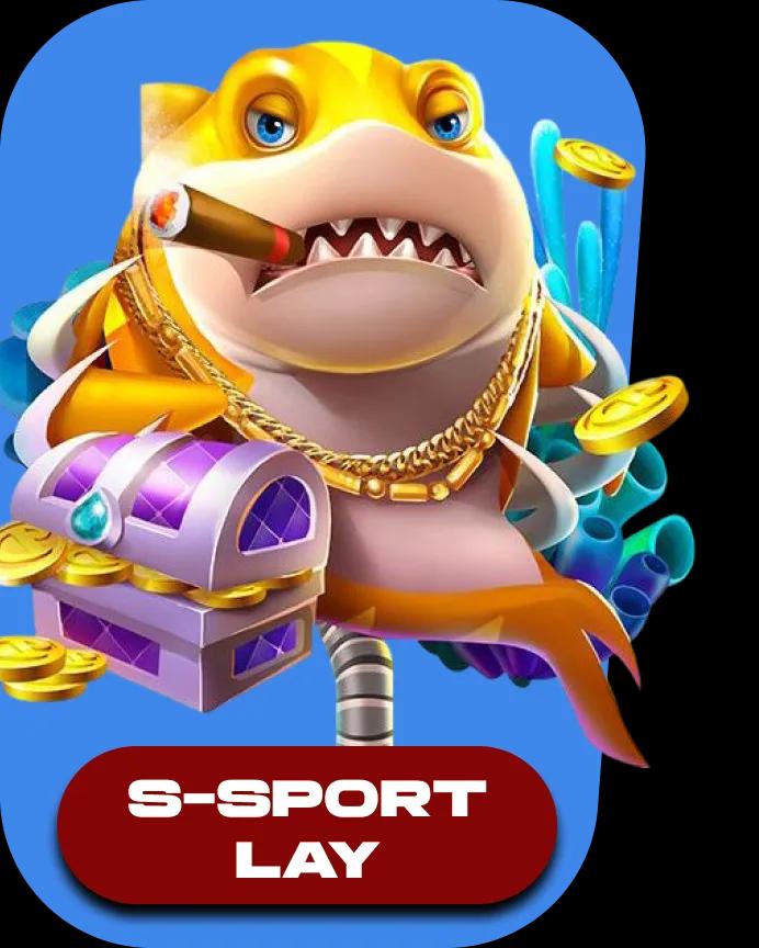 S-SPORT LAY CORRECT SCORE